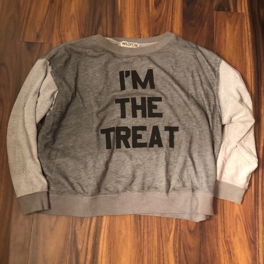 Wildfox sweater